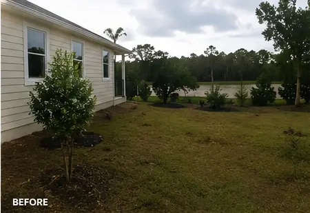 Side yard before landscape installation